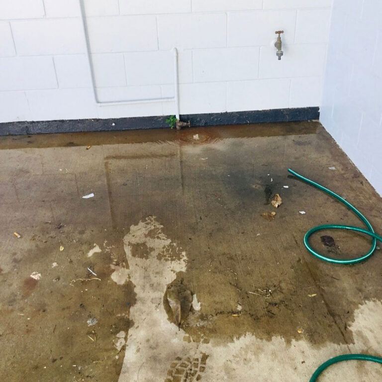 Pool Of Water Caused By Main Water Leak